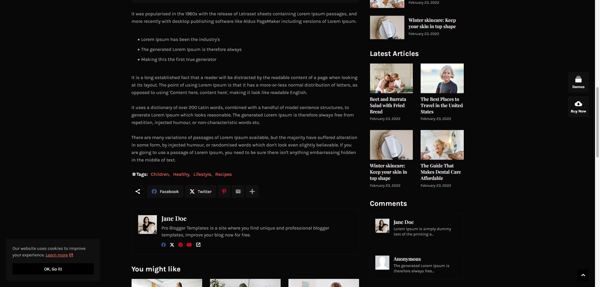La-Beauty Blogger Template 3