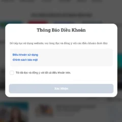 Chức năng yêu cầu đồng ý điều khoản sử dụng cho mọi website